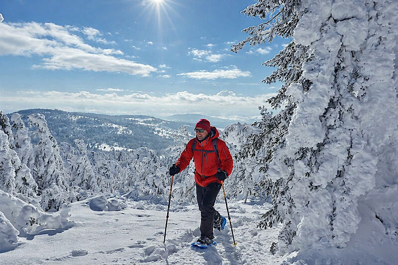 Bayerischer Wald